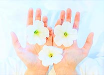 mydła w płynie kwiatowe