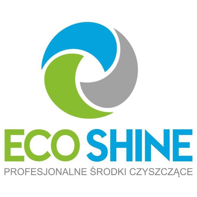 Eco Shine Logo
