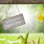 Wiadomości CzystySklep- Strona 13