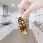 Wiadomości CzystySklep- Strona 12