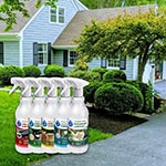 Wiadomości CzystySklep- Strona 17