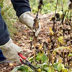 Wiadomości CzystySklep- Strona 7