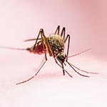 Wiadomości CzystySklep- Strona 9