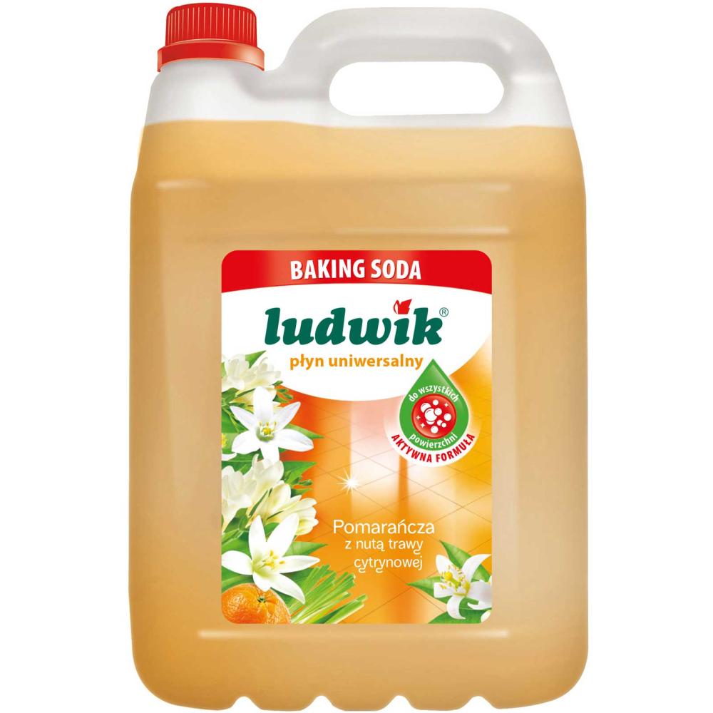 Ludwik płyn uniwersalny Baking Soda