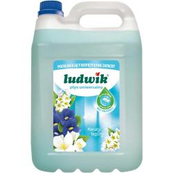 Ludwik koncentrat uniwersalny 5L Kwiaty Laguny