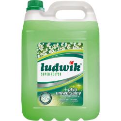Ludwik koncentrat uniwersalny 5L super połysk