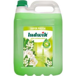 Ludwik koncentrat uniwersalny 5L super połysk