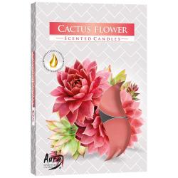 Bispol świeczki zapachowe 6szt. Kwiat kaktusa