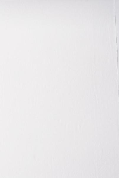 Hase autocut PAKIET ręcznik 2W, 250m biały celuloza, 12 sztuk + dozownik