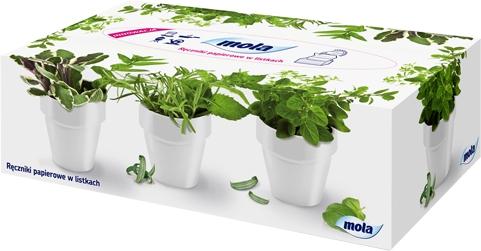 Mola ręczniki papierowe w listkach 80 szt.