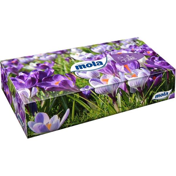 Mola chusteczki higieniczne w kartoniku dwuwarstwowe 120 sztuk