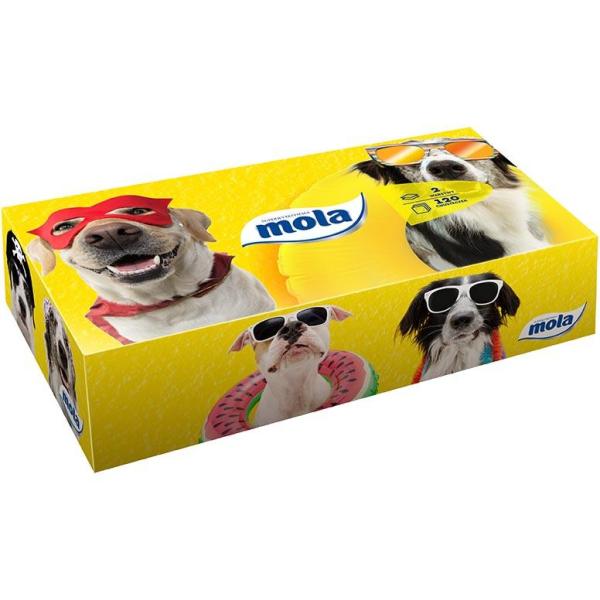 Mola chusteczki higieniczne w kartoniku dwuwarstwowe 120 sztuk