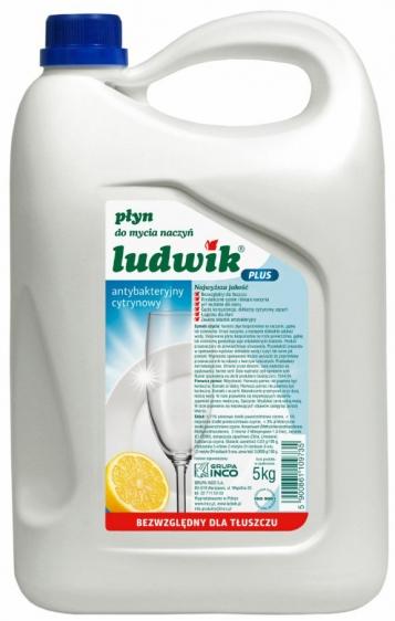 Ludwik do naczyń 5kg Plus antybakteryjny