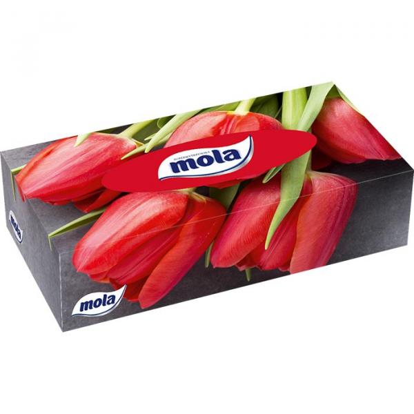 Mola chusteczki higieniczne w kartoniku dwuwarstwowe 70 sztuk