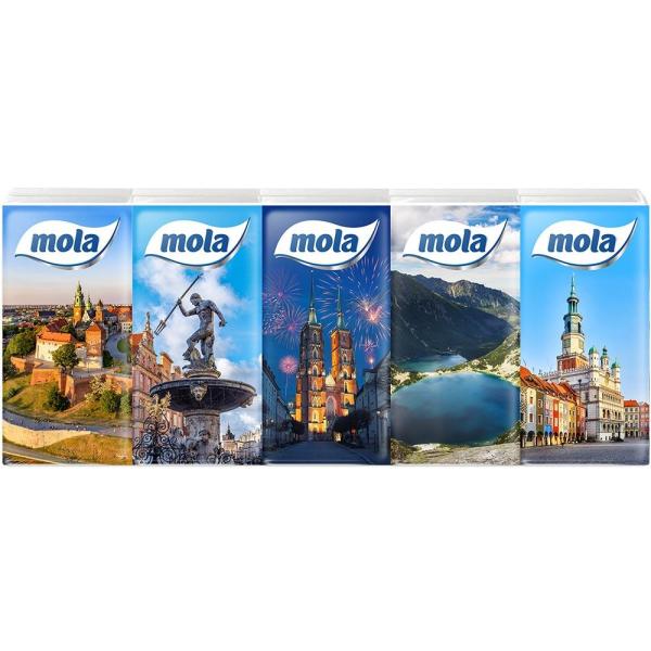 Mola chusteczki higieniczne 10x10szt. 4 warstwowe Miasta