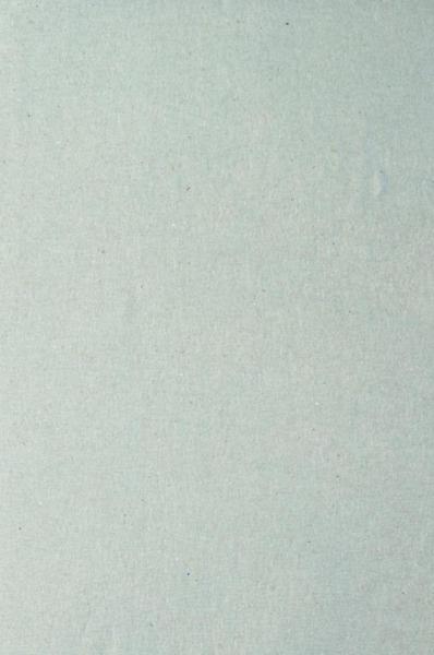 Hase Autocut ręczniki papierowe 7131, 1-W zielone, 250m, 6szt. makulatura